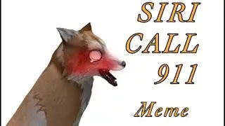 SIRI CALL 911 / Wildcraft Meme / Channel Revival :D