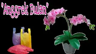 Cara Membuat 