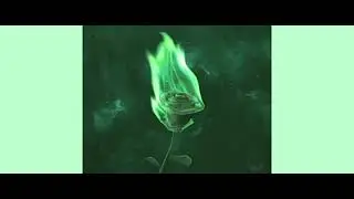 Gryffin, Bipolar Sunshine - Whole Heart (Audio)