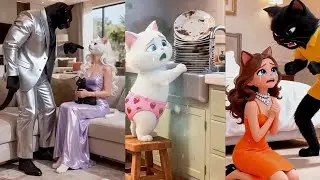 Cat Family The Sad Story of Mel and Kettan 💔 Emotional Cat Story