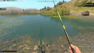 Fisher Online - Live Gameplay 🎦050