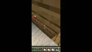 minecraft con shadow &egrave; brix! (Portrait)