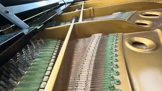 Auktionshaus Bad Homburg Auktion am 22.11.2025 - C. Bechstein Fl&uuml;gel / Stutzfl&uuml;gel Modell L 165