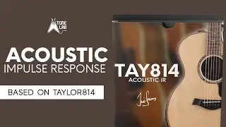 TAY814 | Acoustic Impulse Response Pack | Tonelab