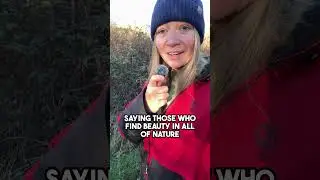 Skylarks Nature Reserve | Accessible Walk in Nottinghamshire #NottinghamshireWalks #Shorts