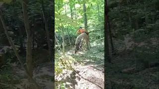 Black Rhombus Enduro At the ST Albans Town Forest.Yung MaRc shredding! #mtbvt @PrivateerBikes