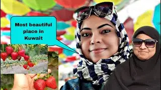 മരുഭൂമിയിലെ സ്ട്രോബെറി ഫാമിൽ ഉമ്മയോടൊപ്പം ||Blue lake farm ||Albohayra farm kuwait ||#AdaywithUmma