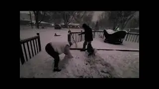 Husky is not much help building a snowman 