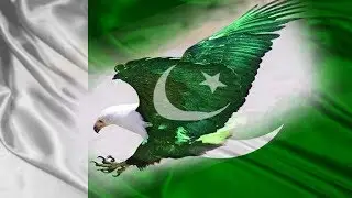 5 February Kashmir day | WhatsApp Status Video