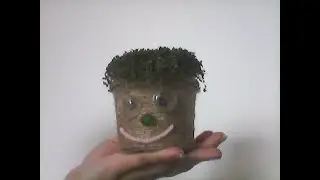 DIY: Turn a plastic food container into a nice plant pot / цветочный горшок своими руками из ничего.