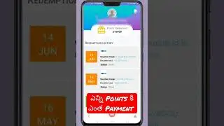 PANEL STATION Payment Details || Redemption Points