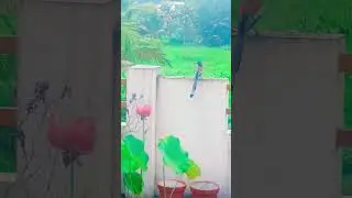 ഈ  uppan സാർ എന്നാണോ ഒന്ന്   ഇണങ്ങുന്നത്...