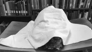 Mary Shelley's birthday (30 August 2018)