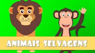 Animais selvagens - Vídeo educativo