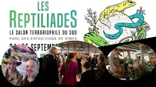 Nîmes 2022 bourse au reptiles en France (pas de venimeux, Planet Exotica)-venom.x
