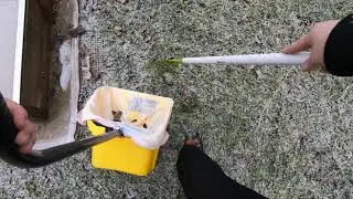 Come Pick Up Dog Poop With Me