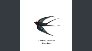 Cantarei Louvores