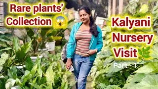 Rare Plants' Collection😱 ll Kalyani 