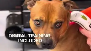 PharmaLight Photizo Vetcare