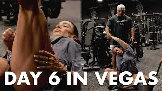 Road to the Olympia 2025 | Cardio and Birthday Shopping