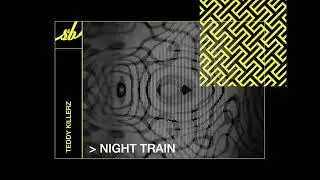 Teddy Killerz - Night Train