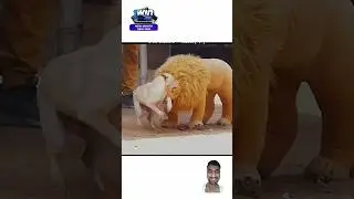 fake tiger and Dog prank 🤪😀#funny #tiger #prank #video