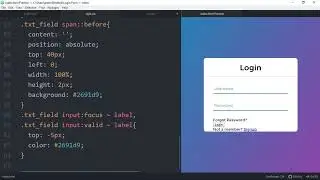 Animated Login Form using HTML & CSS only   No JavaScript or jQuery