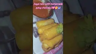Craving a quick snack? These soya rolls with homemade spicy chutney will blow your mind #soya#roll