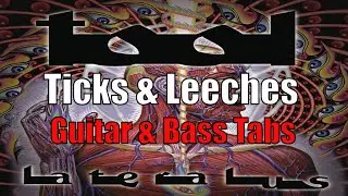 Ticks & Leeches - RB Guitar Exercises [Tool]