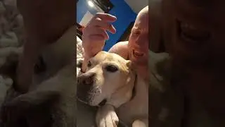 #fuckoff #pleaseadoptme #weirdo #zoeycastleman
