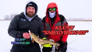 Klūnu ''sniegvilksnis''