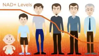 Niagen - What You Need to Know in About 1 Minute