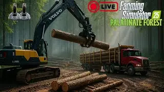 FS25 Live Palatinate Forestry! Come say Hi!