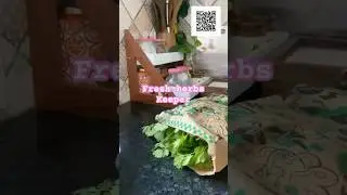 Dhaniye ko fresh kaise rakhe #herbs