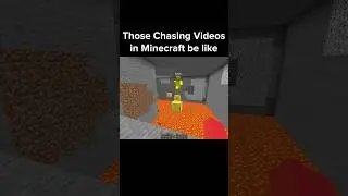 Minecraft Chase Moment