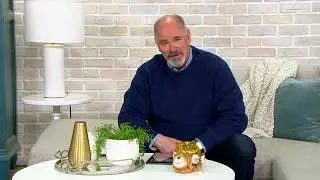 Ultimate Innovations Solar LED Illuminated Garden Friends on QVC