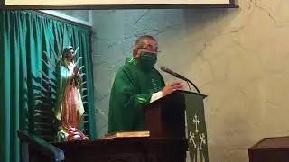 Father Roy's Homily - TWENTY FOURTH SUNDAY IN ORDINARY TIME