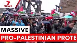Premier criticises Pro-Palestinian march on Sydney Harbour Bridge | 7NEWS