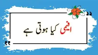 What is afimi in urdu/hindi || &Tau;&iota; &epsilon;&iota;&nu;&alpha;&iota; &Alpha;&Phi;&Mu; (&alpha;&rho;&iota;&theta;&mu;ό&sigmaf; &phi;&omicron;&rho;&omicron;&lambda;&omicron;&gamma;&iota;&kappa;&omicron;ύ &mu;&eta;&tau;&rho;ώ&omicron;&upsilon;) || افیمی کیا ہوتی ہے