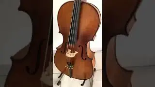 Violoncelo Eagle CE 300- Oliveira Musical