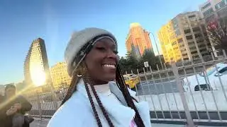 Brooklyn Bridge New York & Dyker Heights Visit 