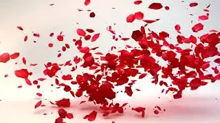 Where to buy Valentines Day Flowers in Rio Rancho