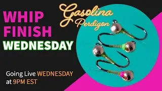 How To Fly Tying: Gasolina Perdigon---Live on Whip Finish Wednesday