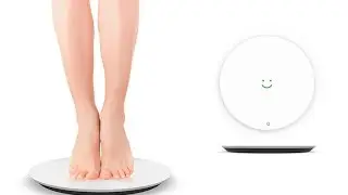 Top 5 Best Smart Wireless Body Fitness Scale