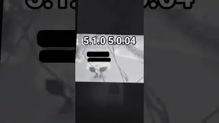 5.0.04 или 5.0.05