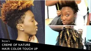 Dayna's Creme Of Nature Hair Color Touch Up