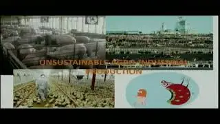 UNEA 3, GMGSF Session 5, Land and Soil Pollution: Isis Alvarez intervention