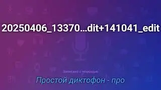 Обзор нового большого тифлоплеера Smart bee и финальное мнение об этом устройстве