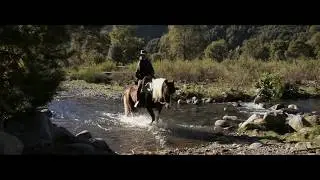 Antilco