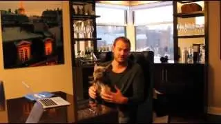 What Are Some Tips For Traveling With A Small Dog?